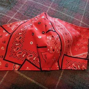 Bandana Pattern Handmade Face Mask